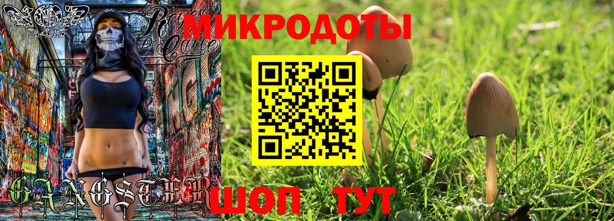 Псилоцибиновые грибы Psilocybine cubensis  Вход с VPN  купить   Кольчугино 